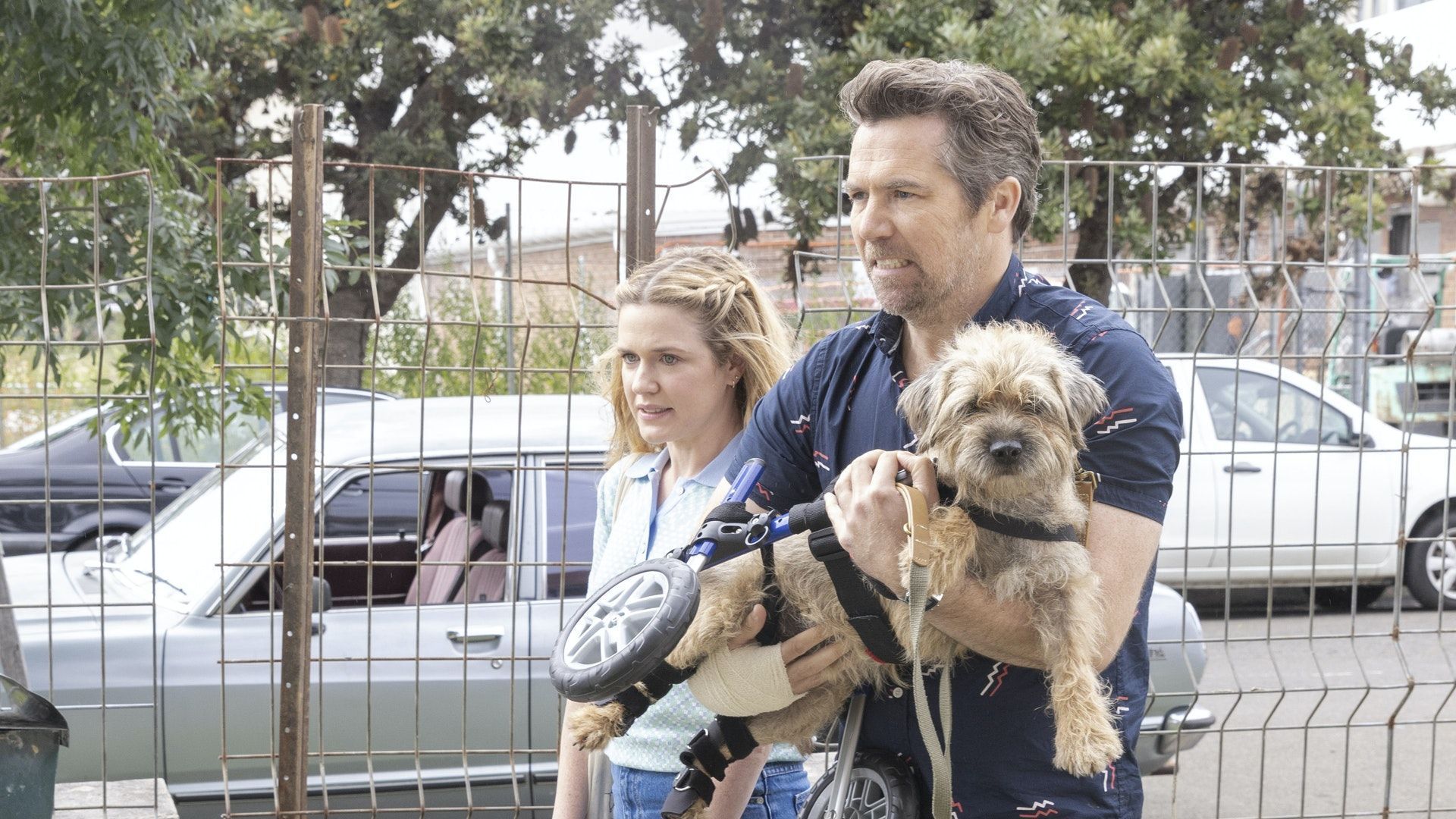 Колін із бухгалтерії - Скріншот 1