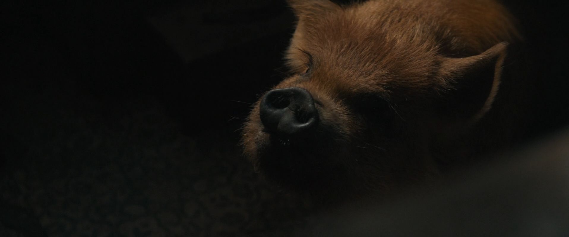 Свиня - Скріншот 4