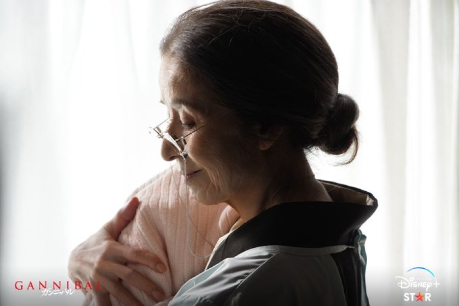 Ґаннібал - Скріншот 2