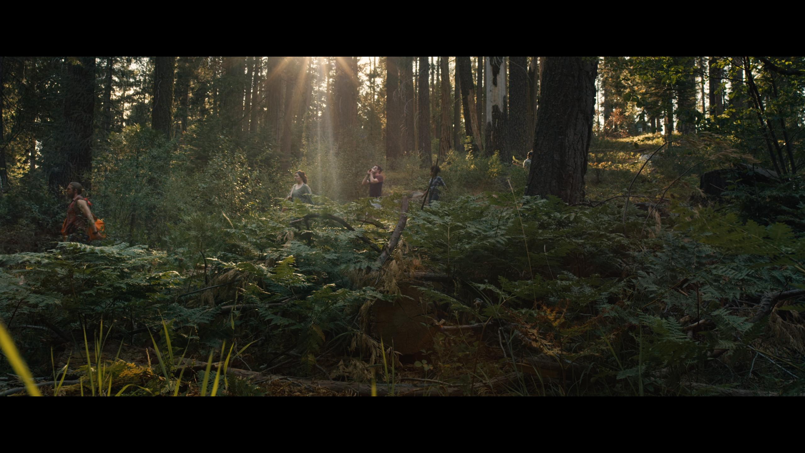 Незнайомець у лісі - Скріншот 3