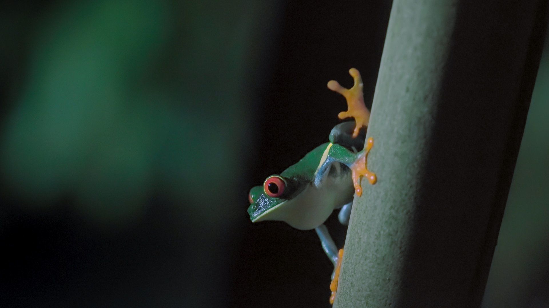 Ніч на Землі - Скріншот 4