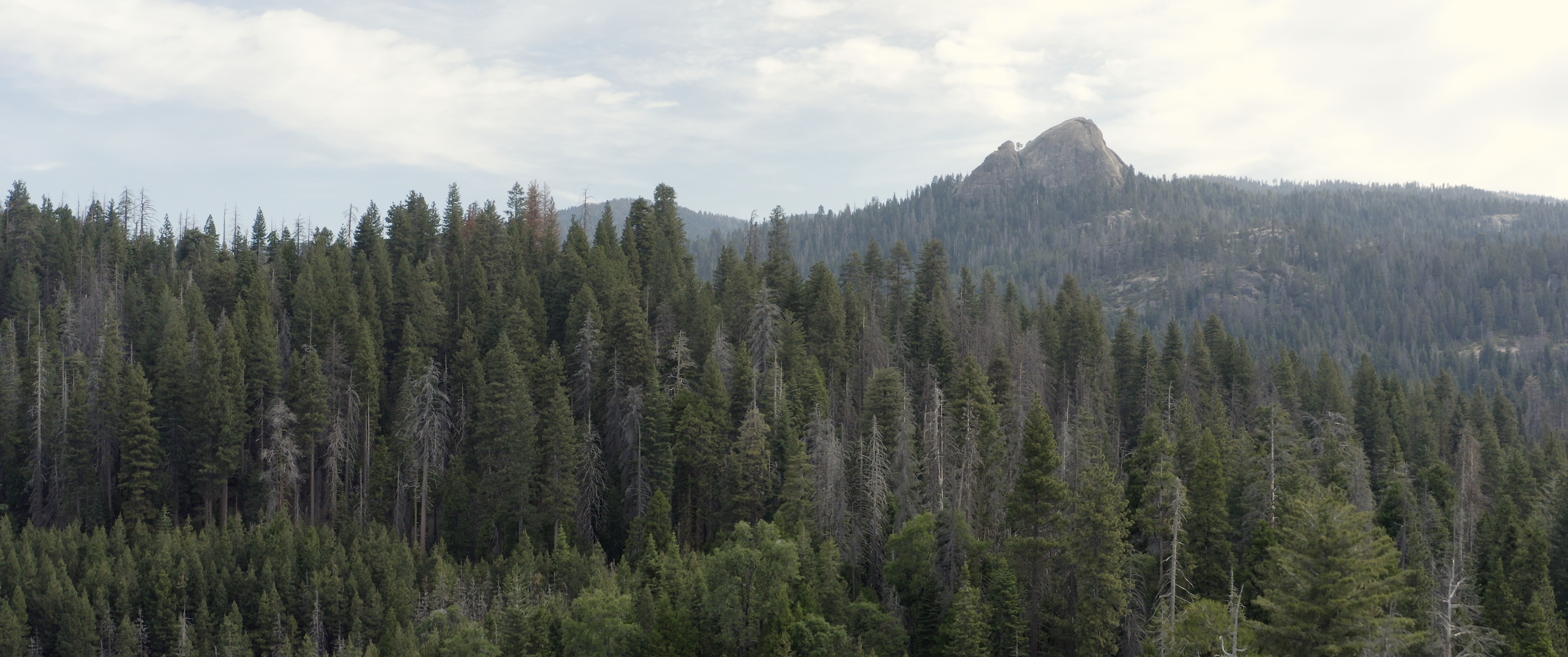 На межі життя - Скріншот 2