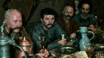 Пан Володиївський кадр 5