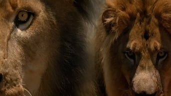 Привид та Пітьма / Привид і Темрява - Скріншот 3