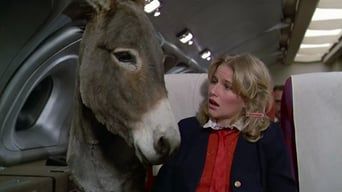 Аероплан! - Скріншот 4