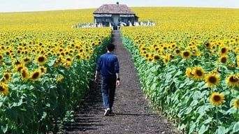 І все освітилося кадр 2