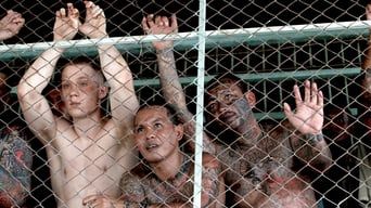 Бої без правил кадр 2