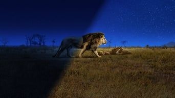 Кольори нічної планети кадр 5