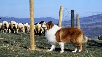 Лессі кадр 3