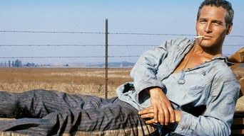 Холоднокровний Люк кадр 6
