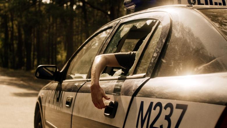 Сьогодні в лісі не до сну 2 кадр 3