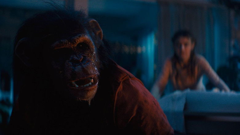 Фонове зображення Примат