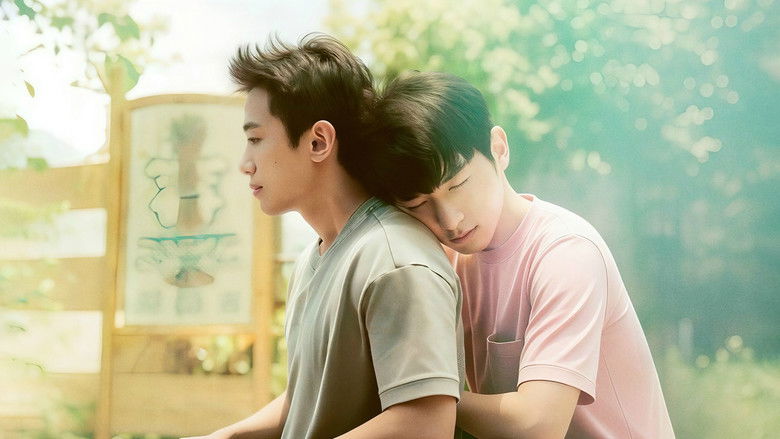 Фонове зображення Загадуючи бажання під зорепадом / Ми, що загадували бажання на зорепад