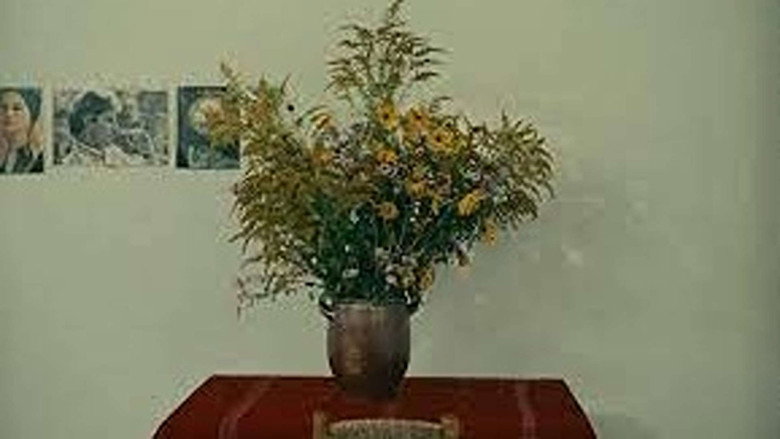 Щастя кадр 5